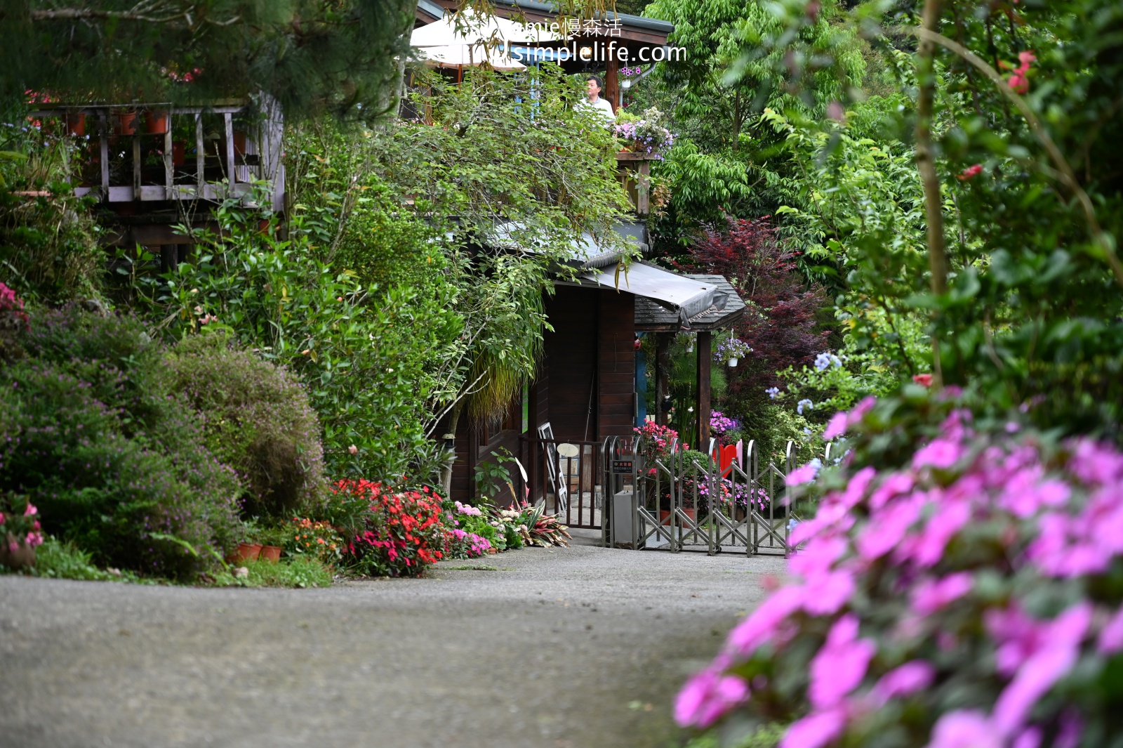 苗栗南庄「碧絡角花園咖啡」造景花園