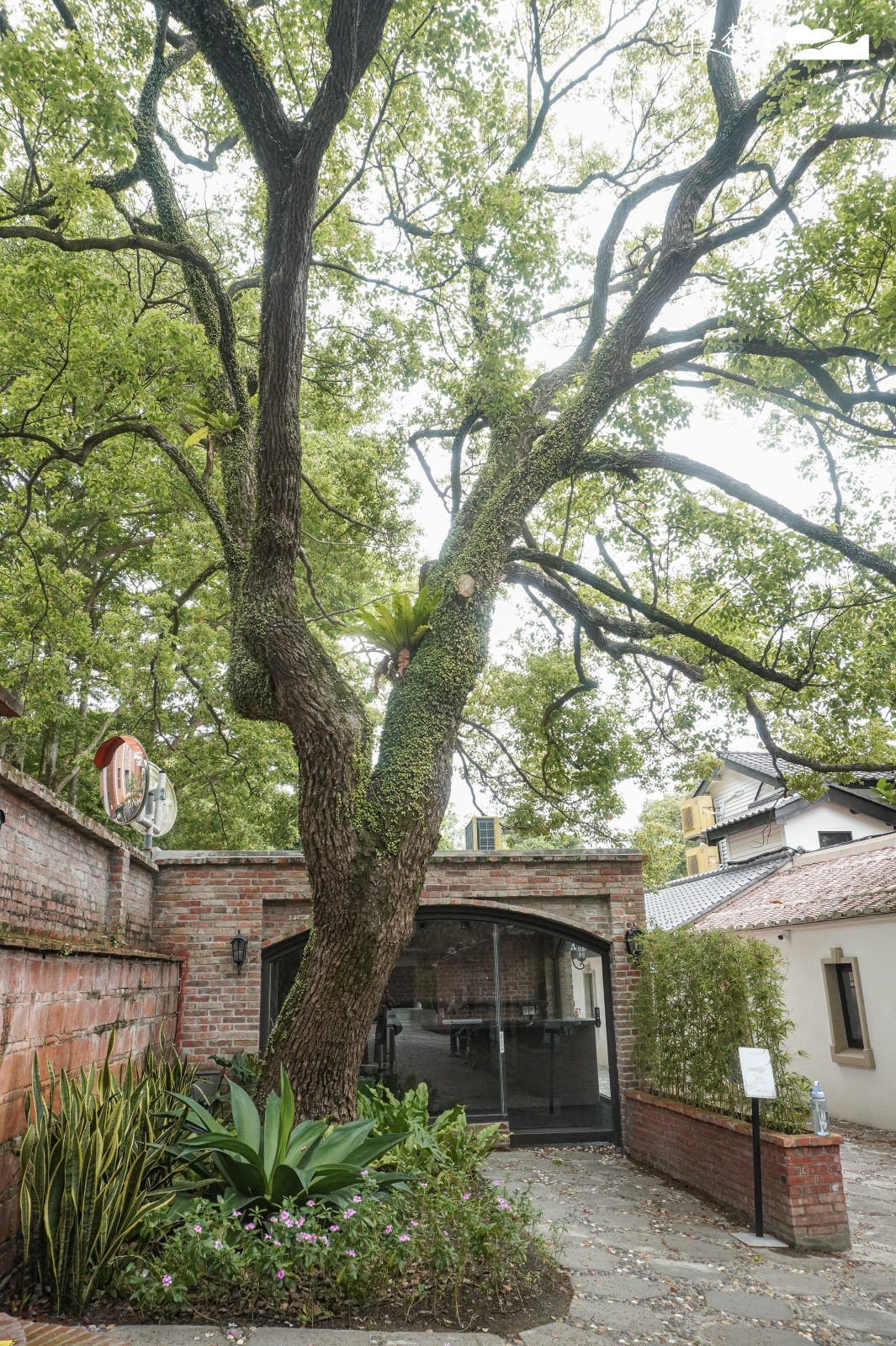 新北市淡水 巫登益美術館新北館 園區內