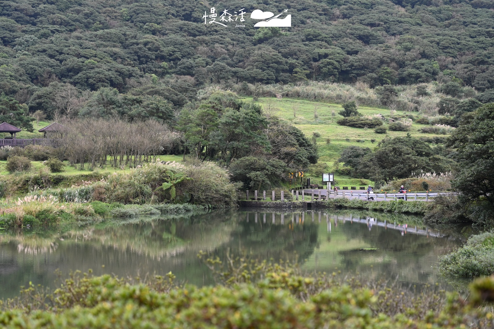 新北市避暑景點｜大屯自然公園