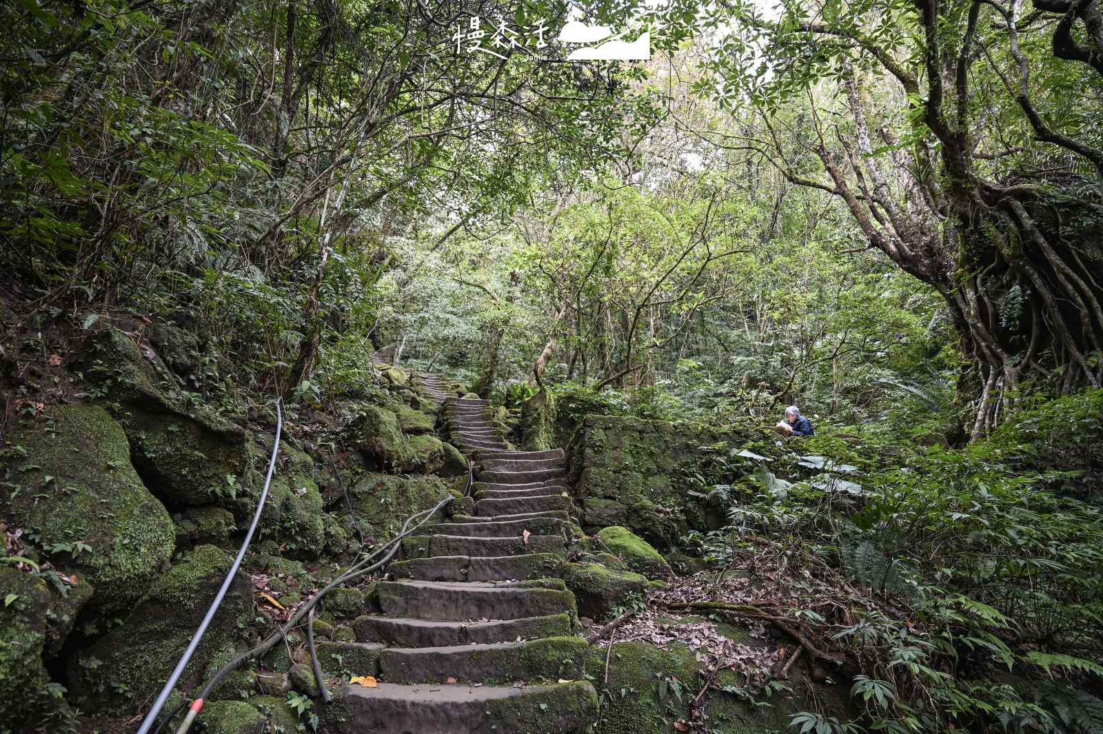 新北市避暑景點｜平溪孝子山