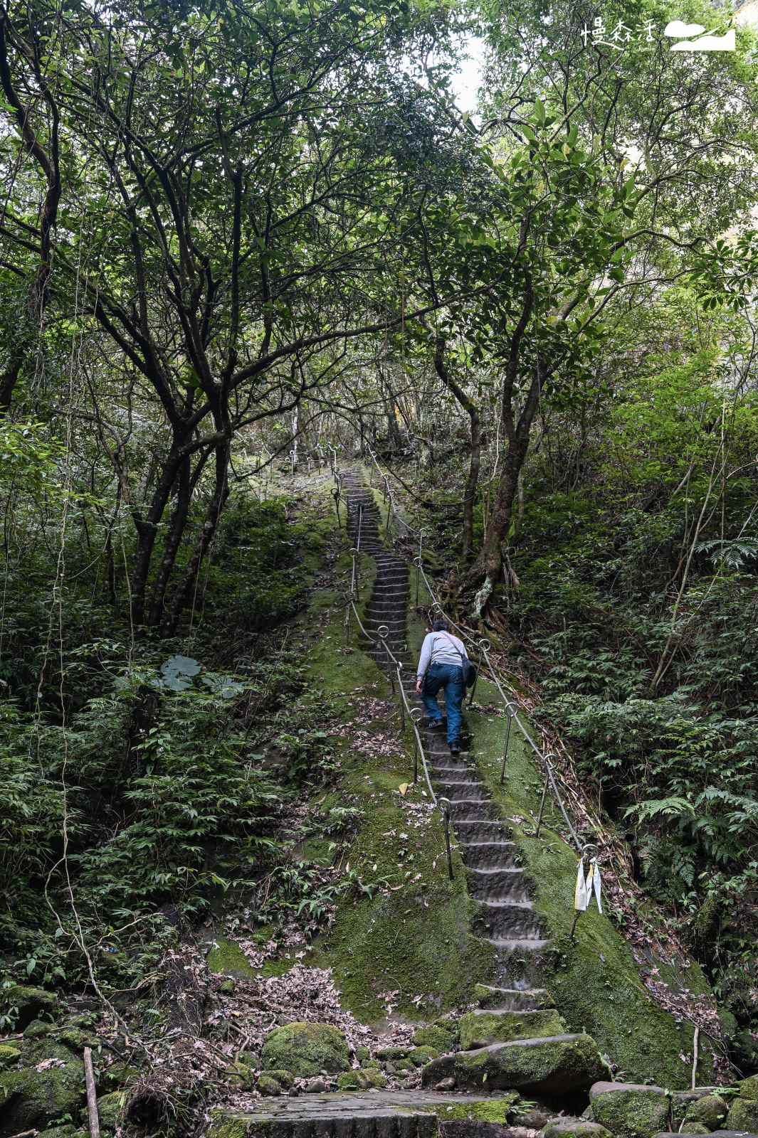 新北市避暑景點｜平溪孝子山