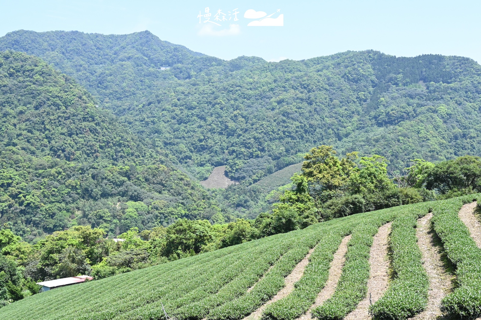 新北市避暑景點｜鱷魚島