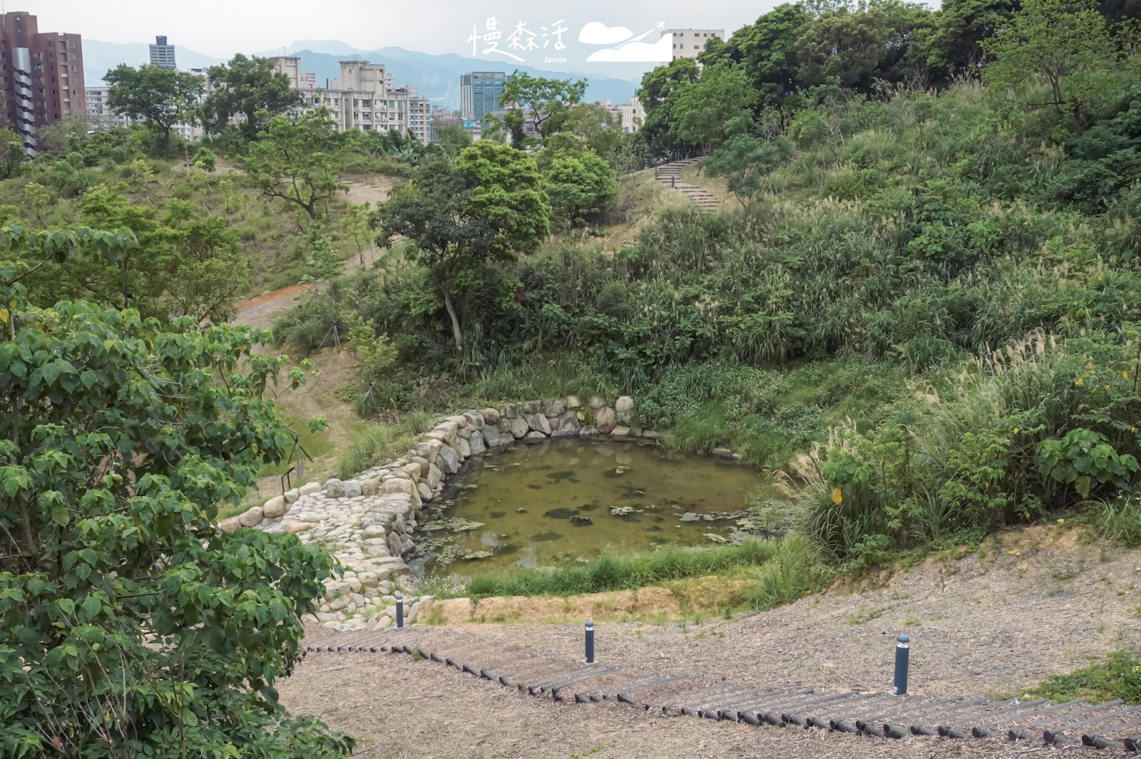 台北避暑勝地｜文山區 文山森林公園