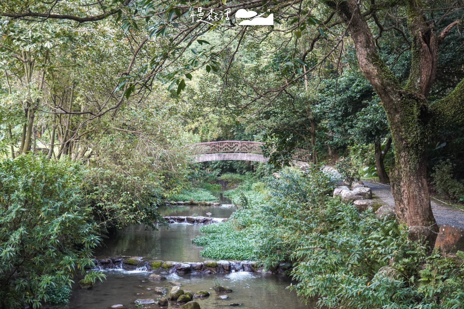 台北避暑勝地｜內湖區 大溝溪親水公園