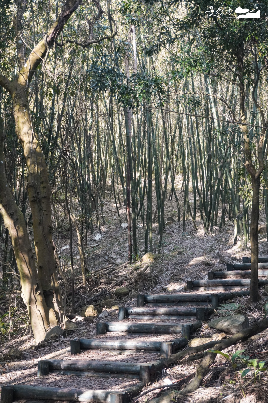 台北避暑勝地｜北投區 紫明溪步道