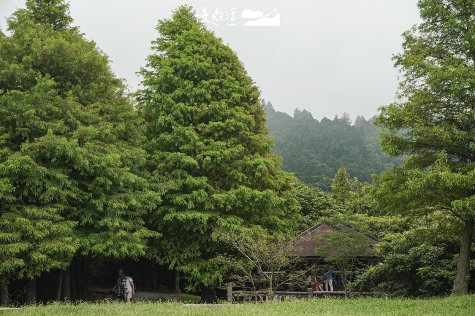 台北避暑勝地｜士林區 陽明山牛奶湖前往路線