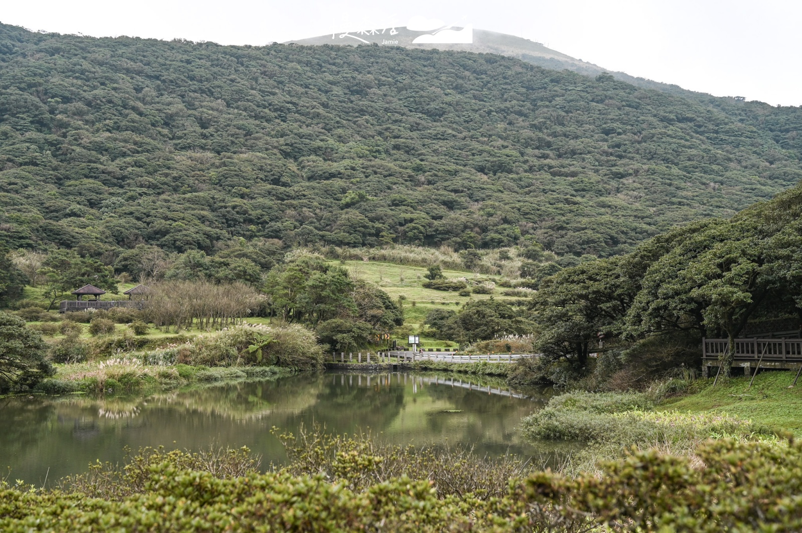 新北三芝區 大屯自然公園