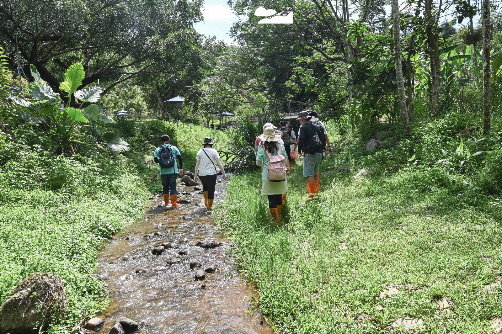 南投縣埔里鎮 岸境濕地莊園桃米溪