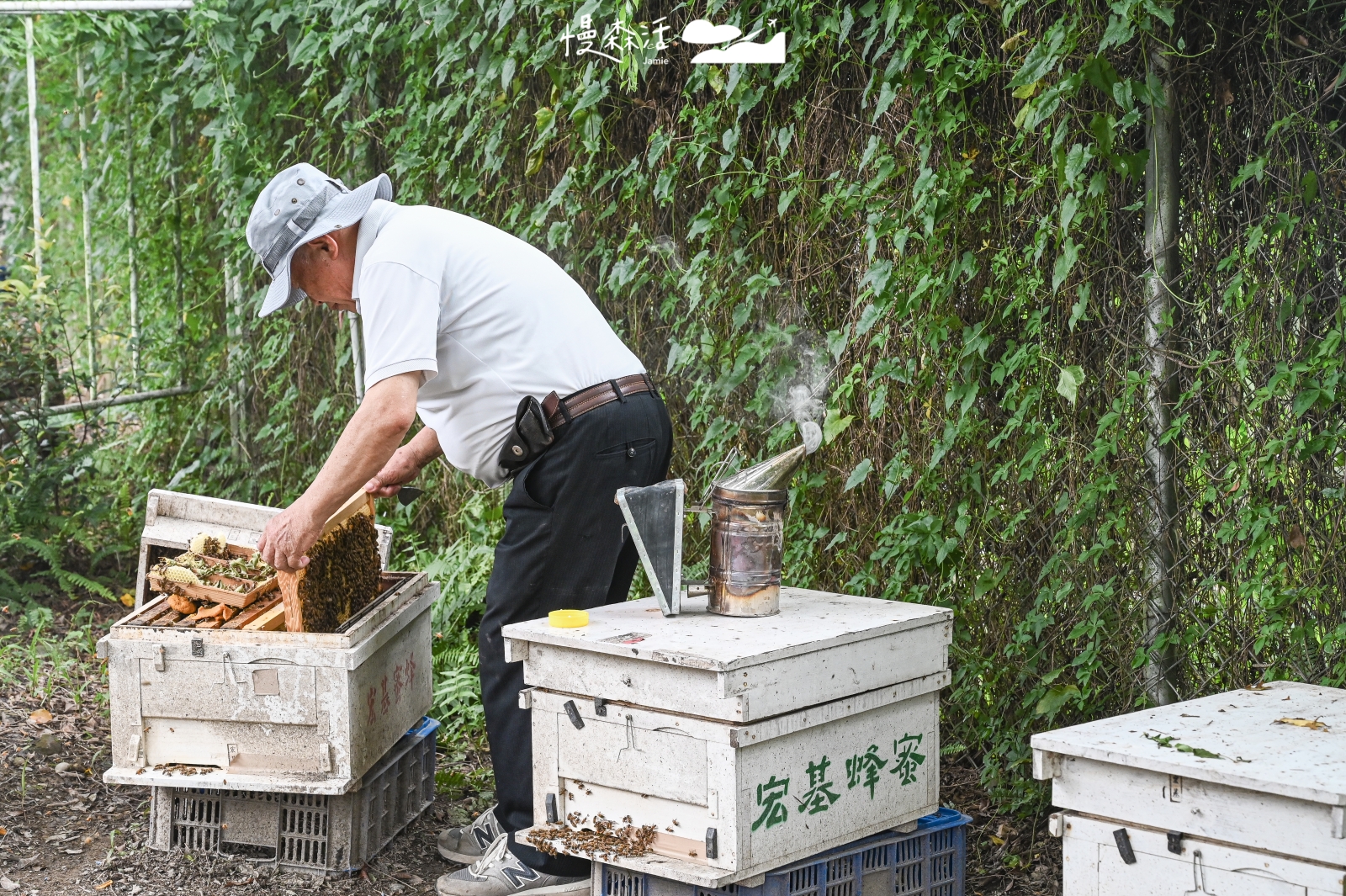 南投縣埔里鎮 賴爺爺蜜蜂小森林