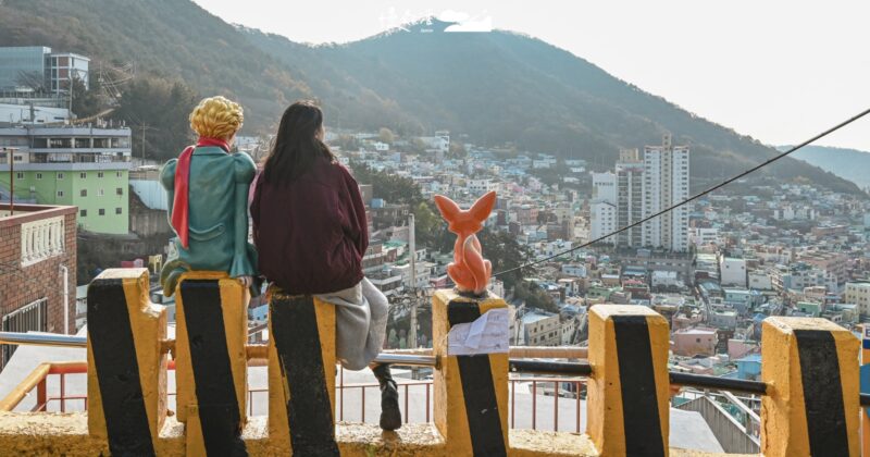 韓國釜山「甘川洞文化村」融合藝術彩繪老房子變身活力打卡熱點