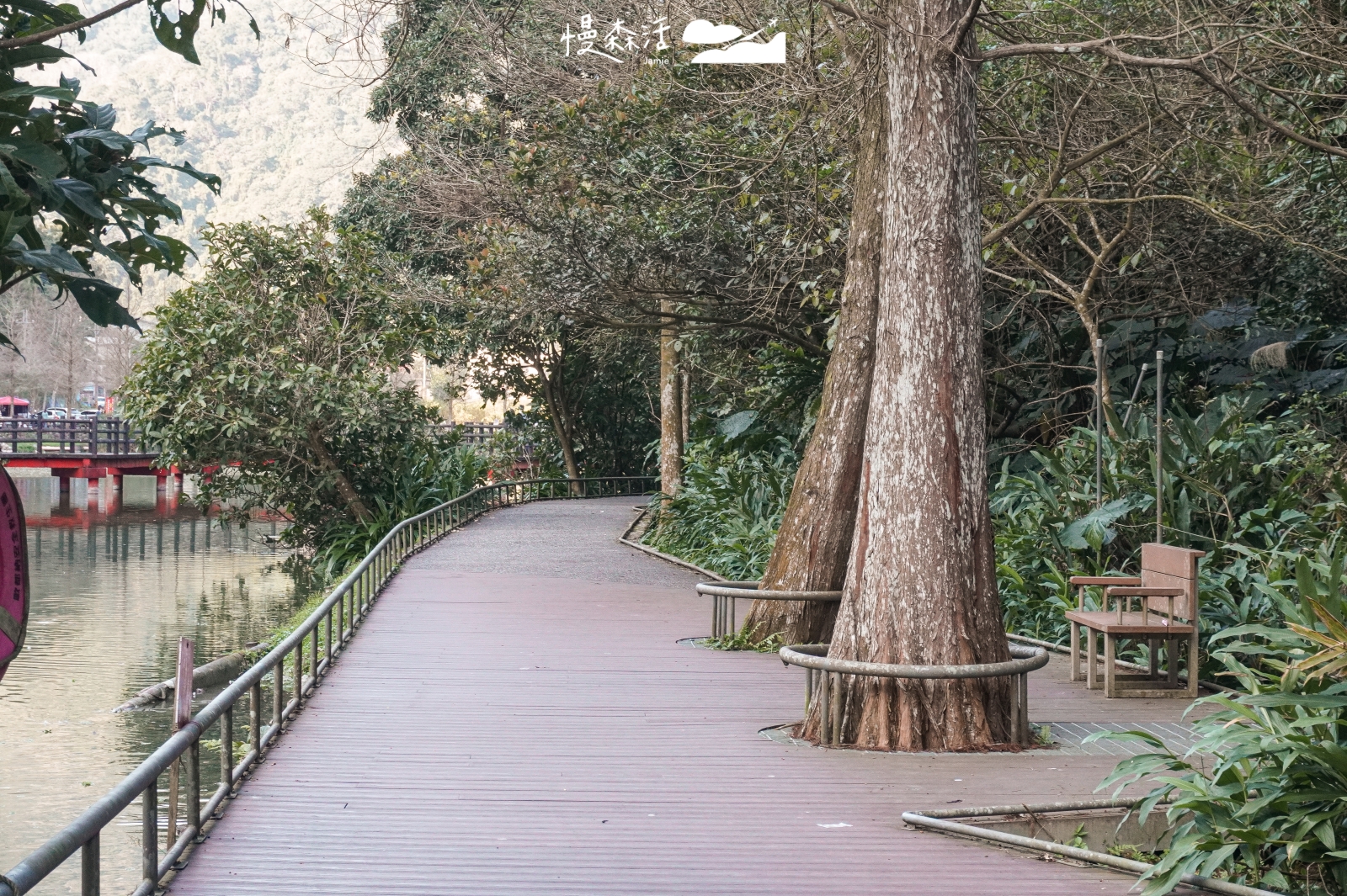 宜蘭縣員山鄉 望龍埤步道