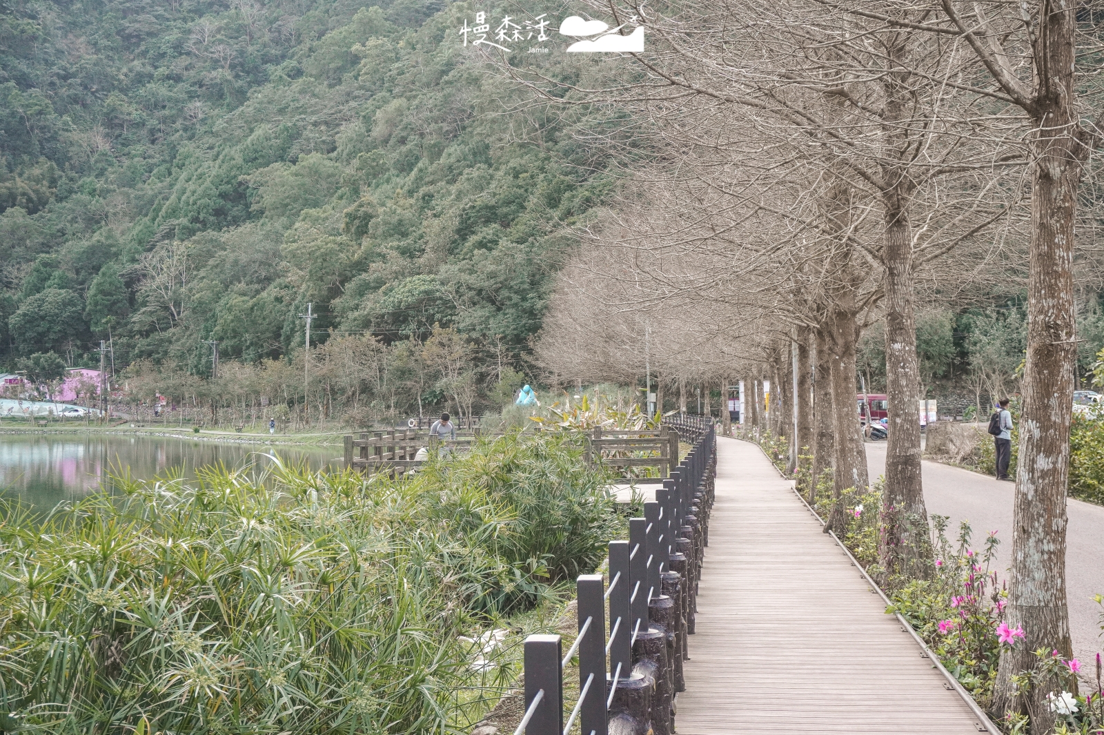 宜蘭縣員山鄉 望龍埤環湖步道