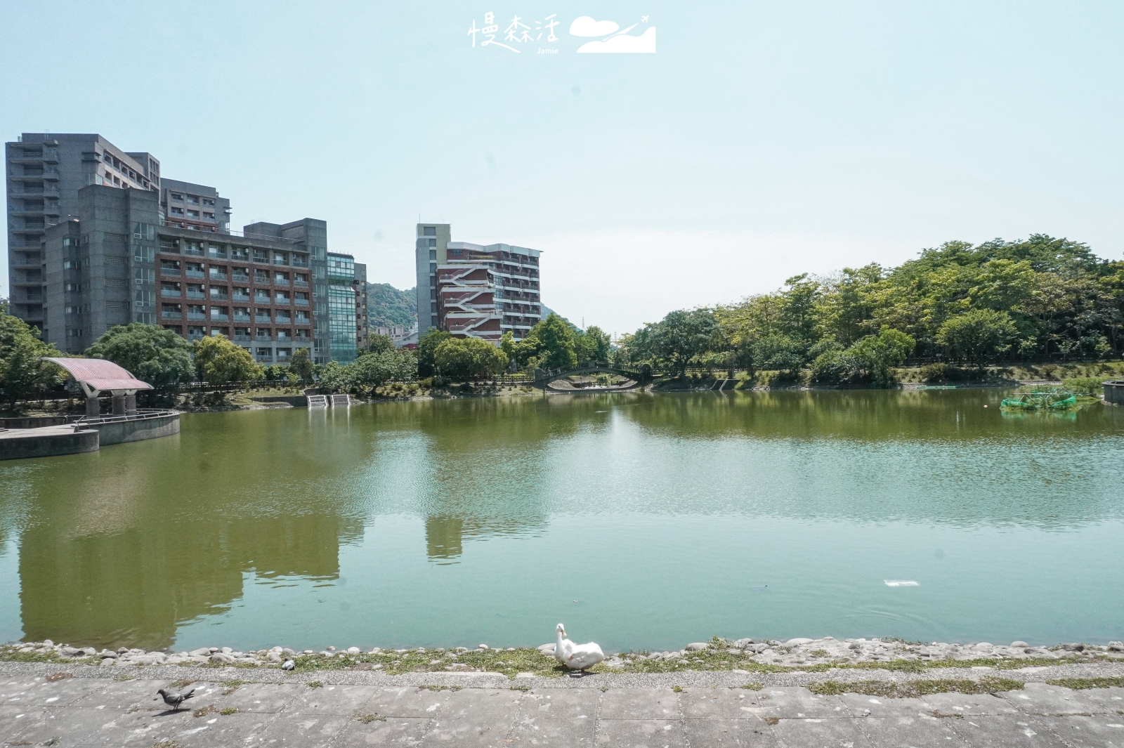 新北市三峽區 台北大學心湖