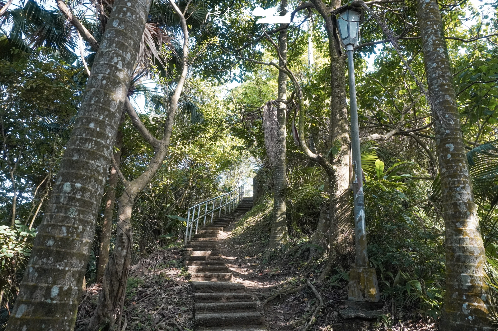 新北輕鬆甩肉健行步道：汐止區 小南港山步道