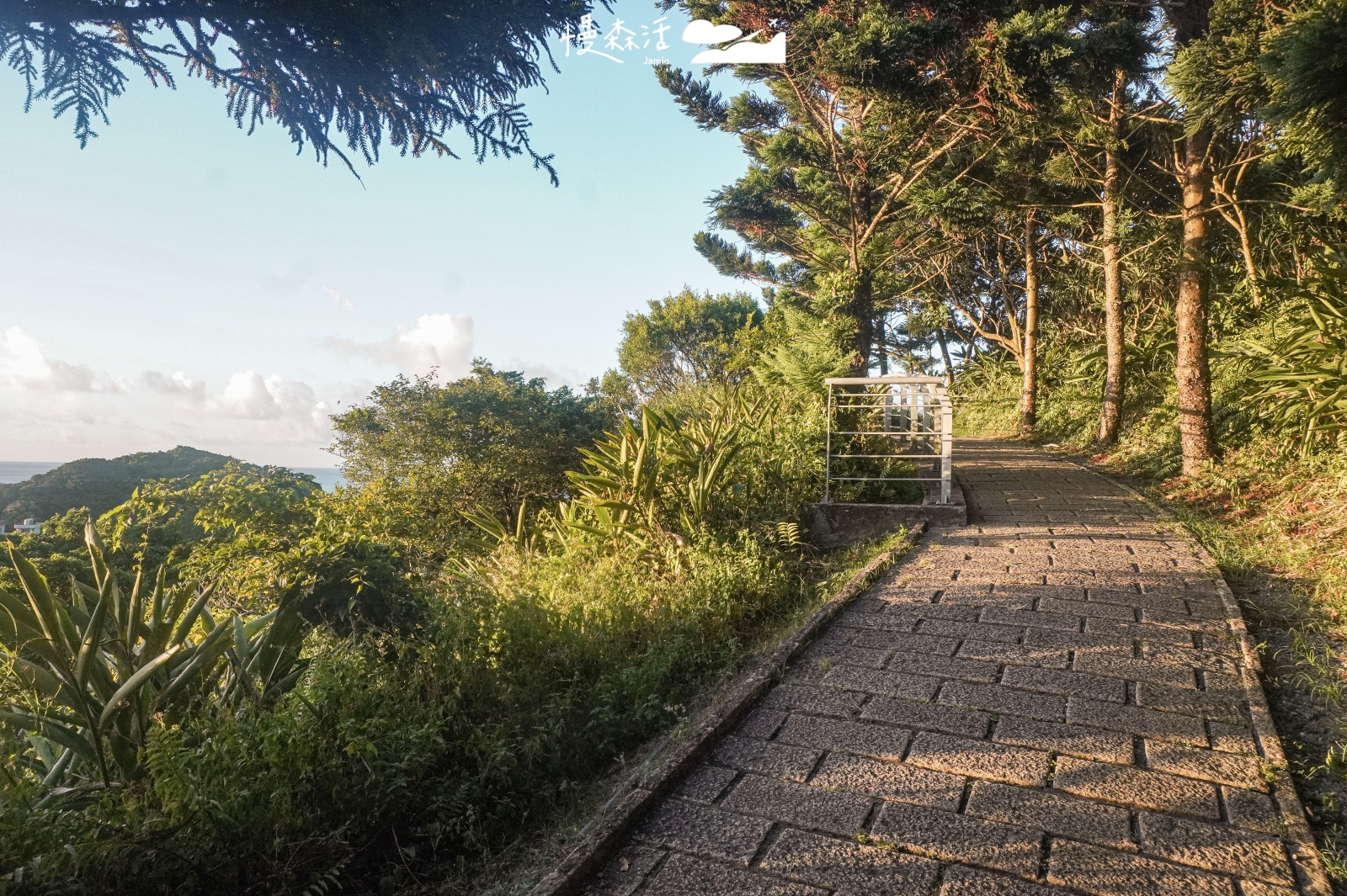 新北輕鬆甩肉健行步道：金山區 獅頭山公園步道