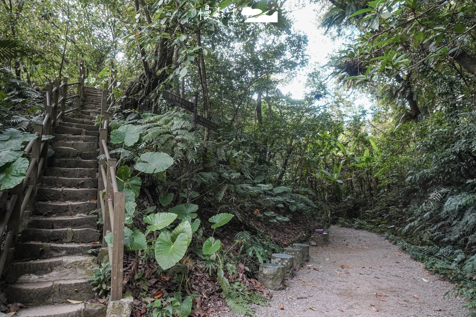 台北輕量健行步道 台北市大安區 富陽自然生態步道