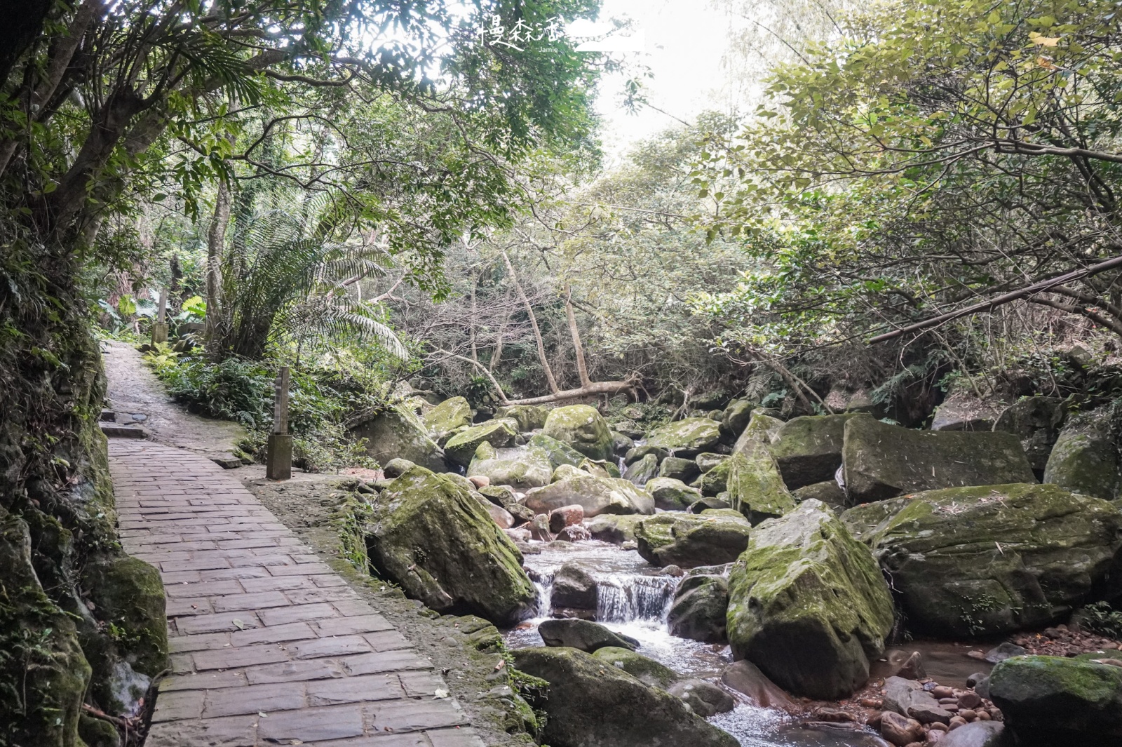 台北輕量健行步道 台北市內湖區 圓覺瀑布步道