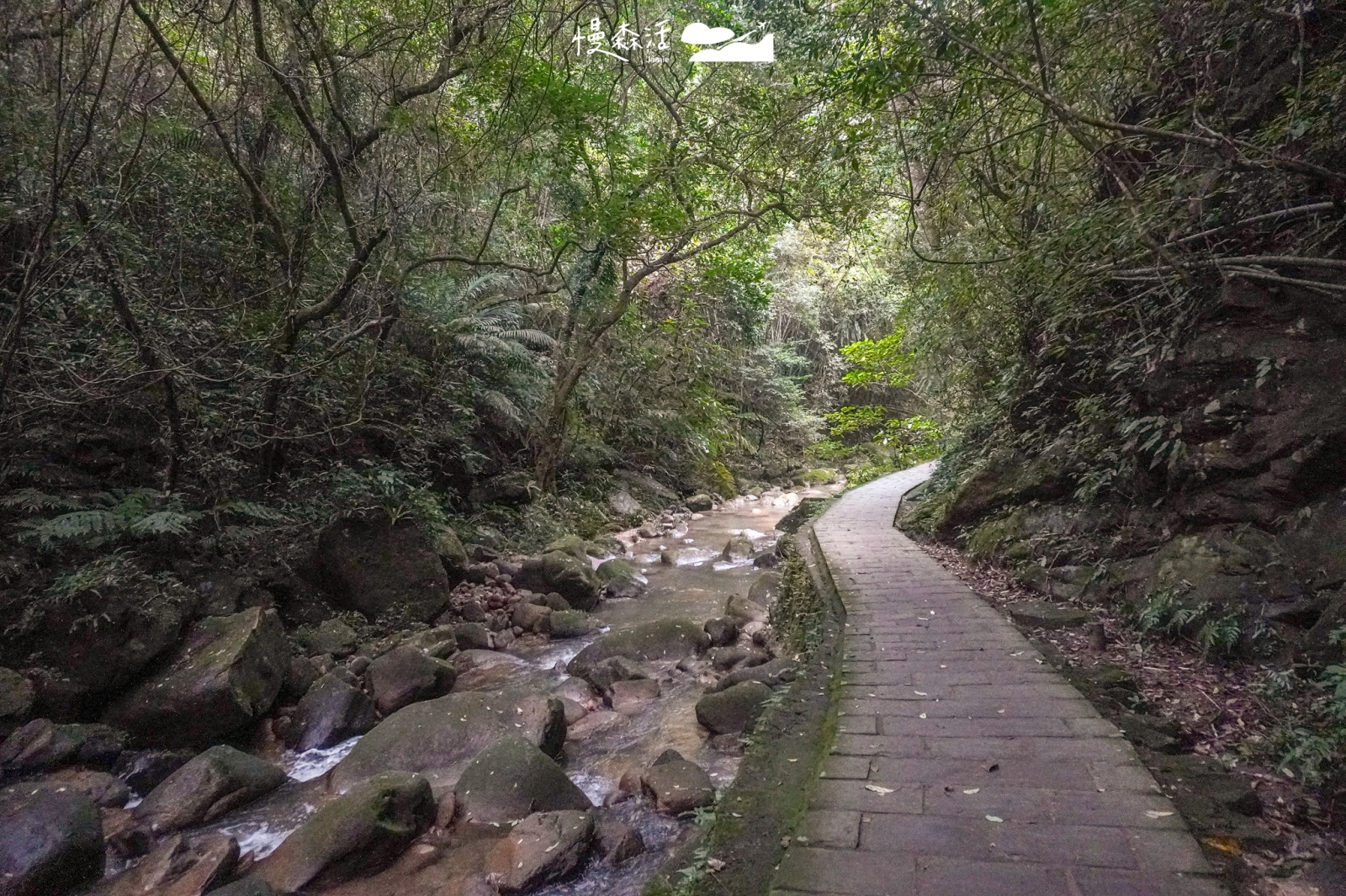 台北輕量健行步道 台北市內湖區 圓覺瀑布步道