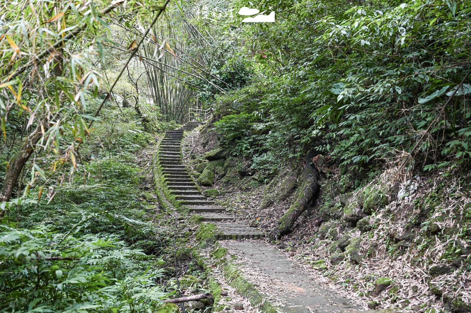 新北輕鬆甩肉健行步道：平溪區 孝子山步道