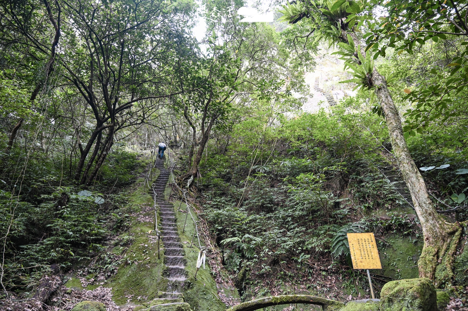 新北輕鬆甩肉健行步道：平溪區 孝子山步道