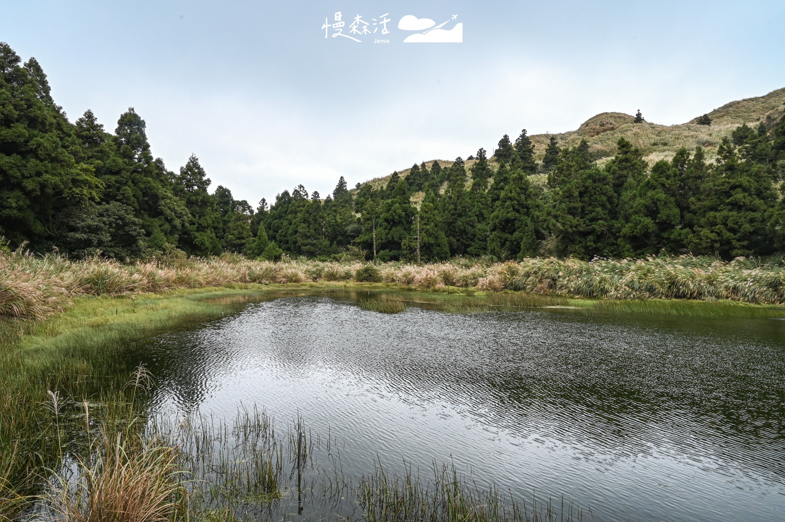 台北輕量健行步道 台北市北投區 陽明山夢幻湖步道