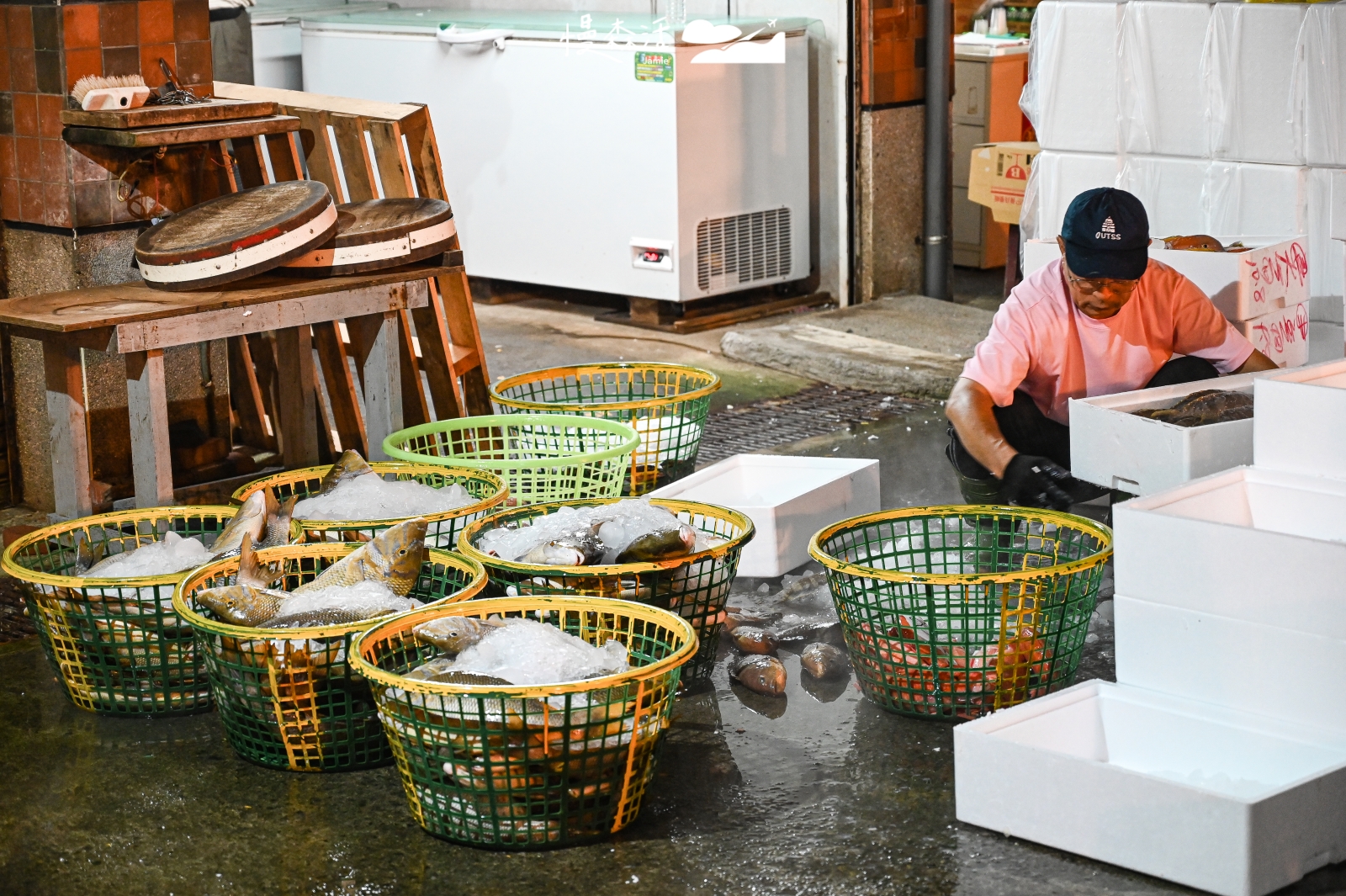 澎湖馬公 澎湖魚市場 第三漁港