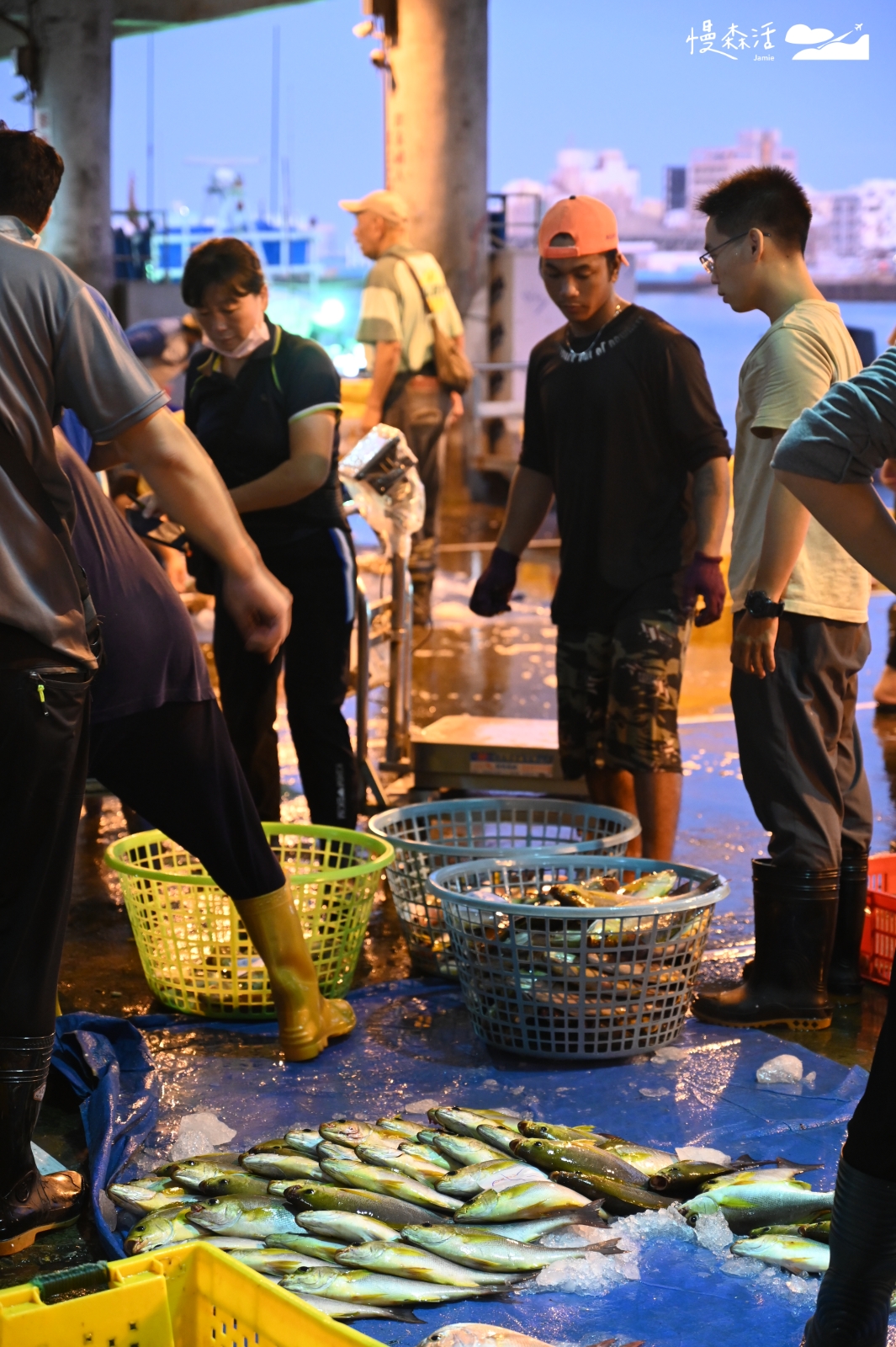 澎湖馬公 澎湖魚市場 第三漁港