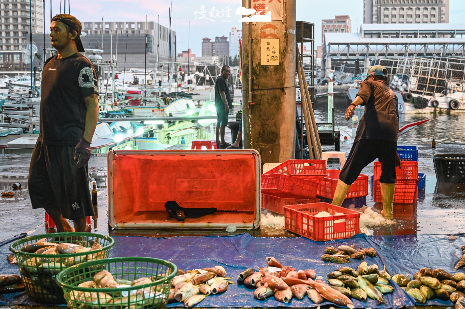 澎湖馬公 澎湖魚市場 第三漁港