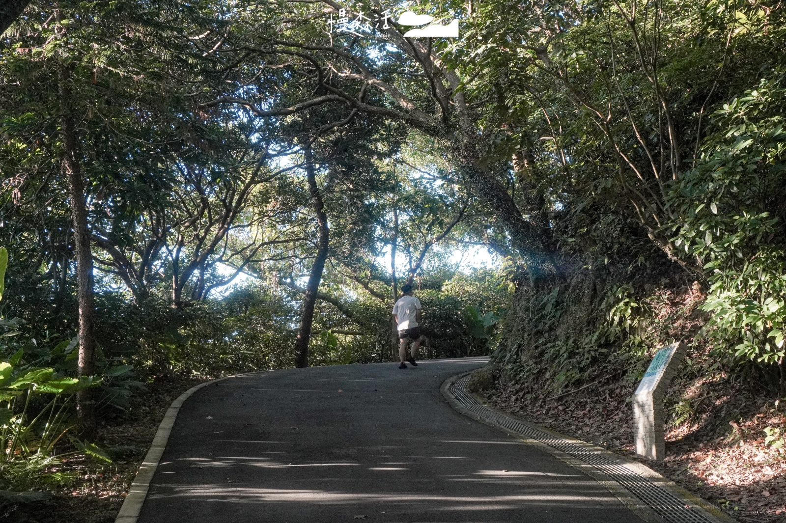 新北市金山區 獅頭山公園步道