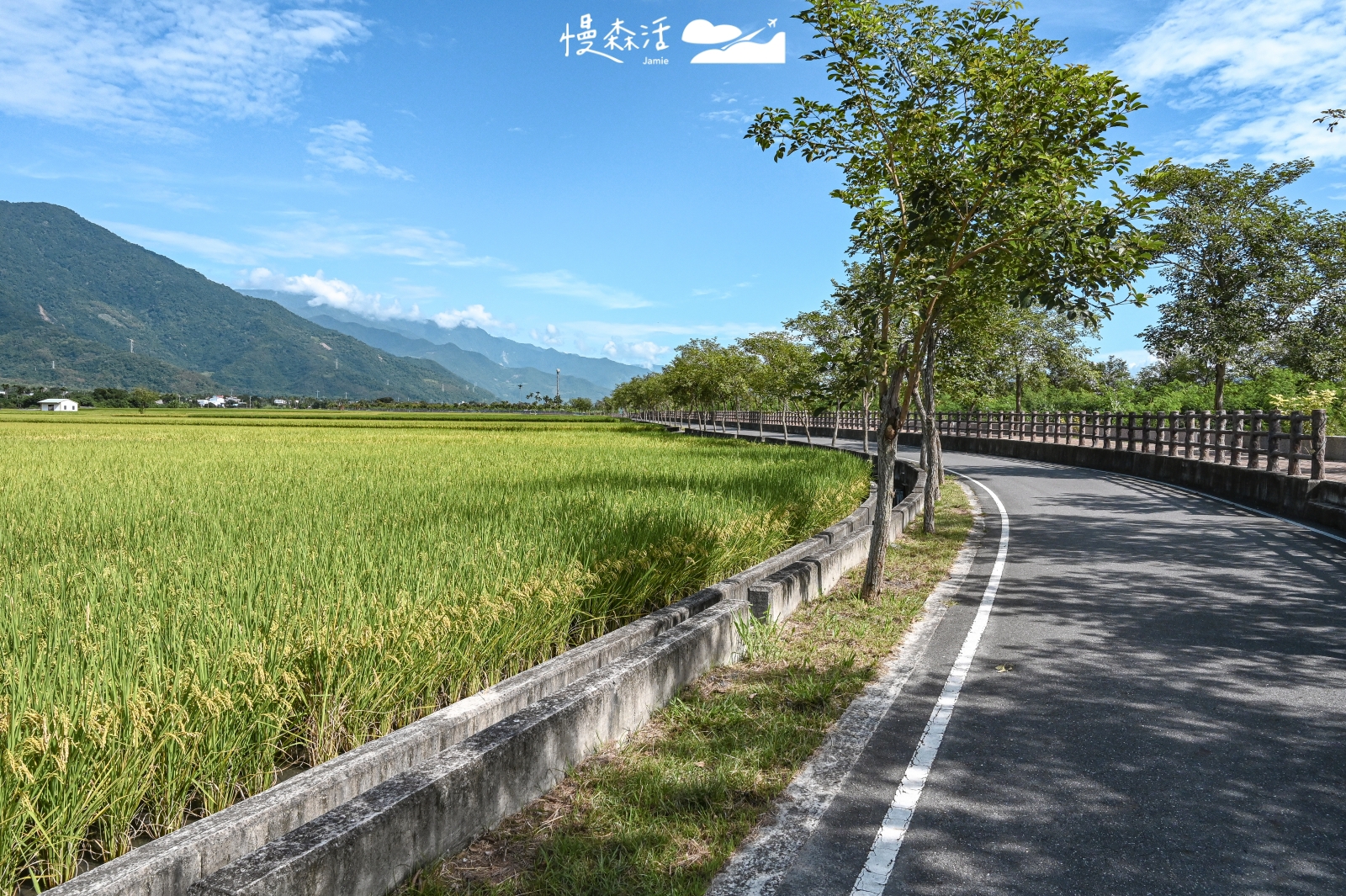 台東關山鎮 關山環鎮自行車道 親山段