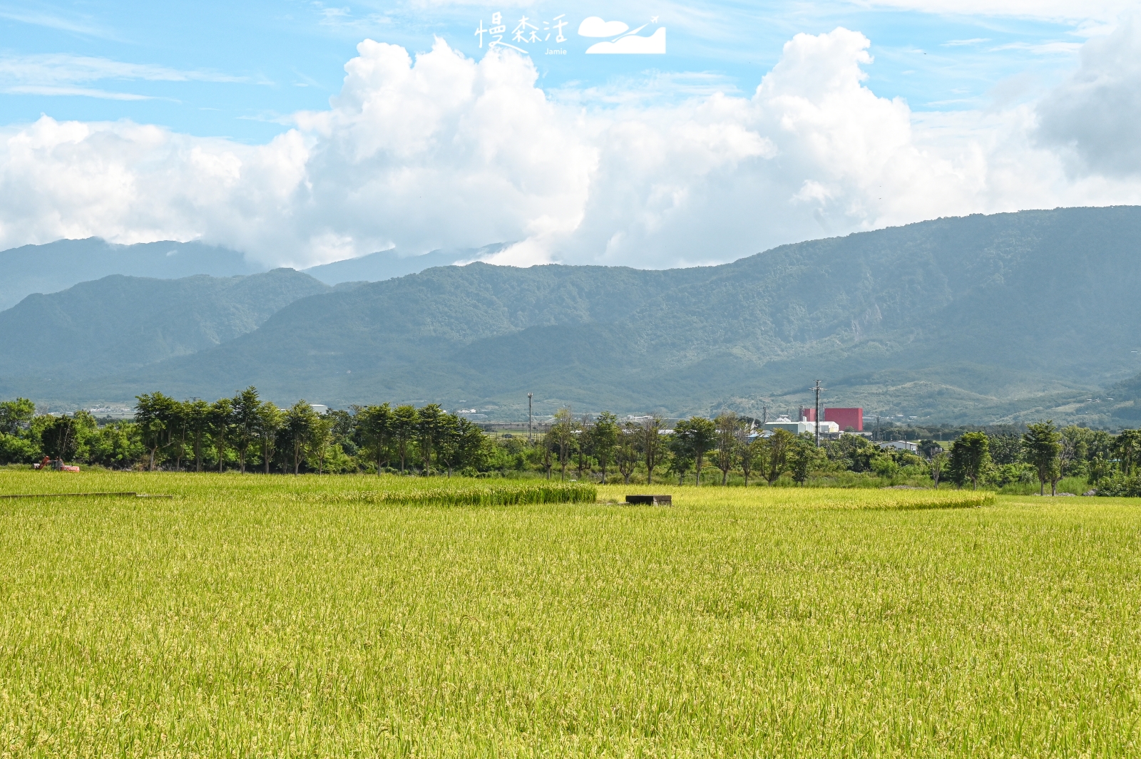 台東關山鎮 關山環鎮自行車道 親山段風景