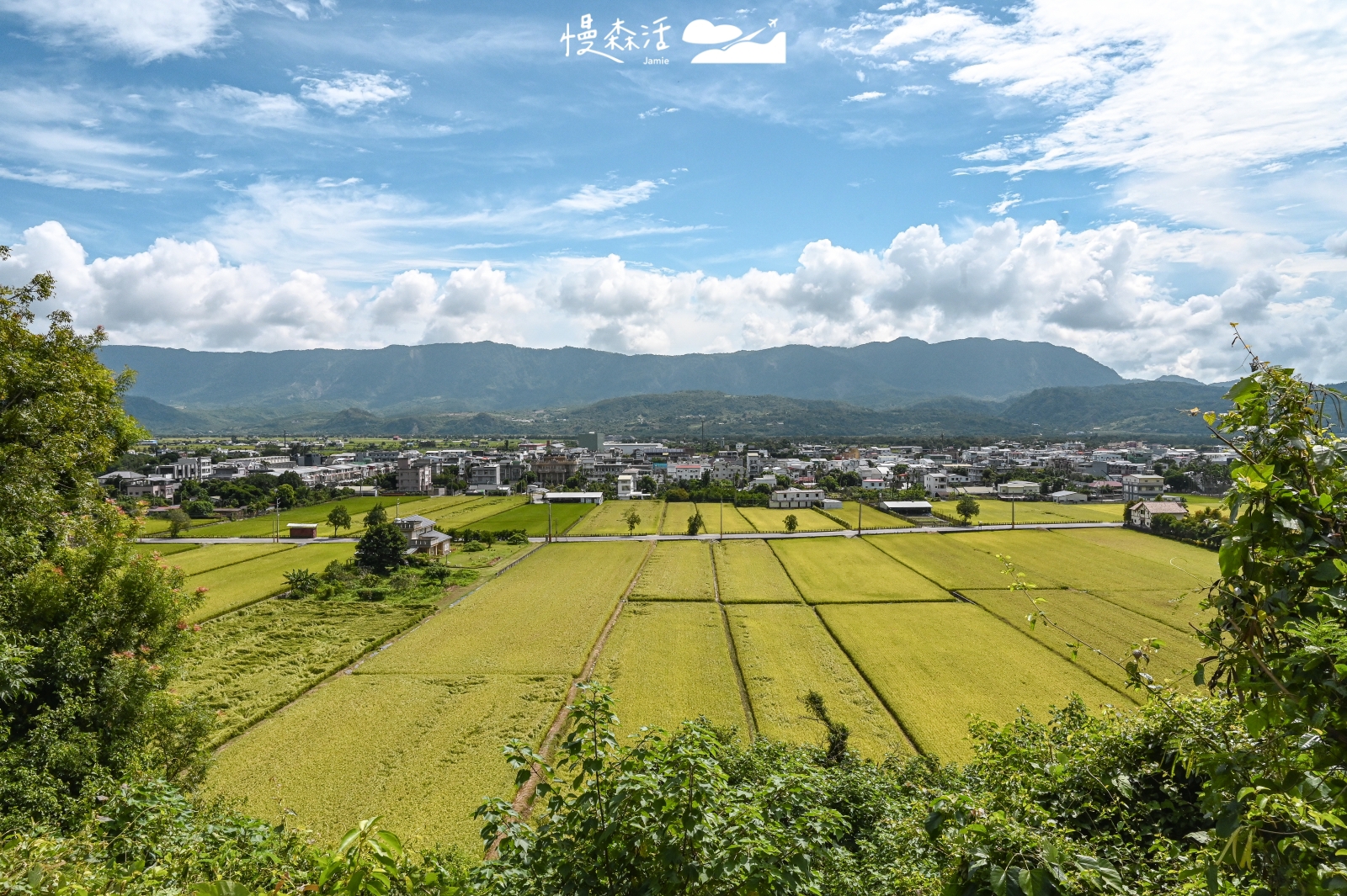 台東關山鎮 關山環鎮自行車道 親山段眺望小鎮風光