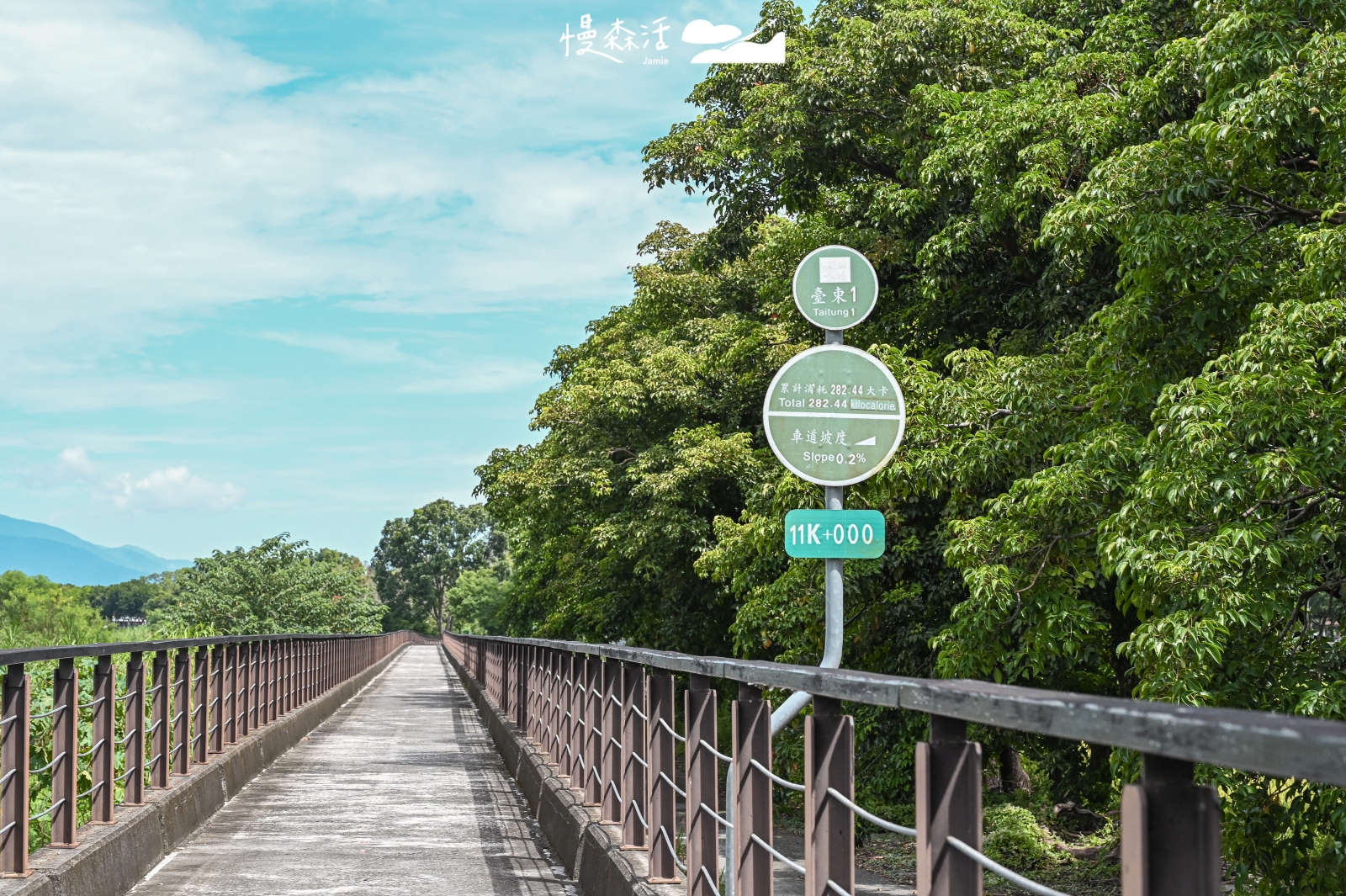 台東關山鎮 關山環鎮自行車道 親水段往關山親水公園