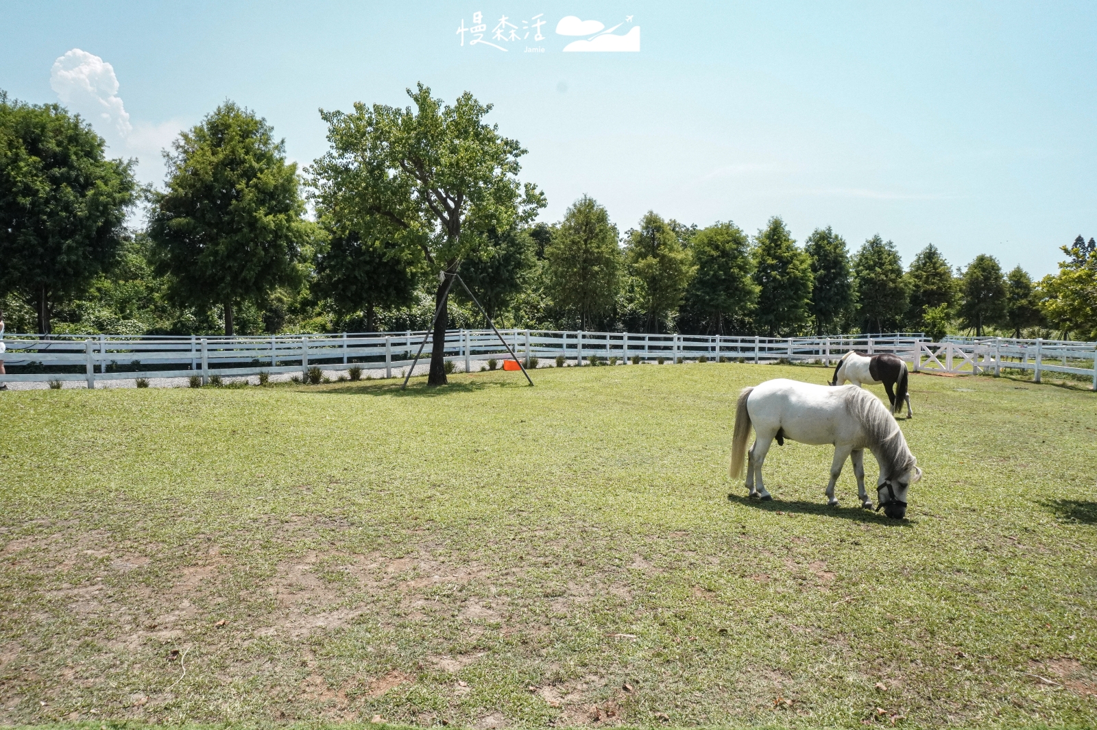 新北市三芝區 牛仔莊園COW BOY MANOR戶外牧場與馬