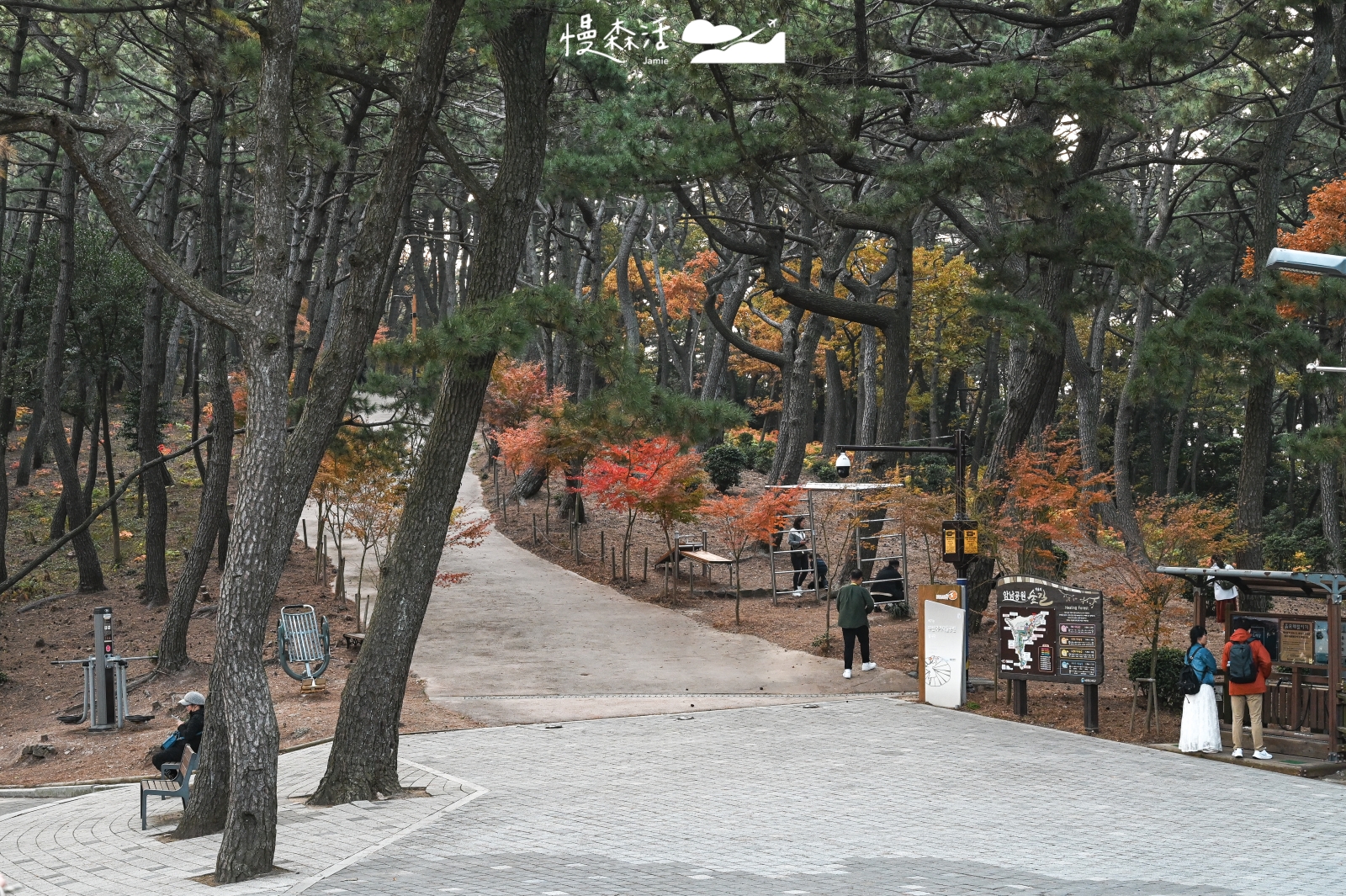 韓國釜山岩南公園