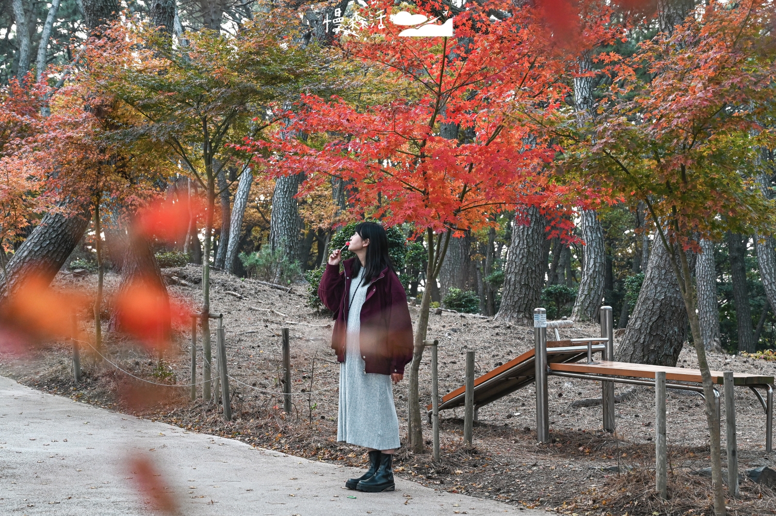 韓國釜山岩南公園