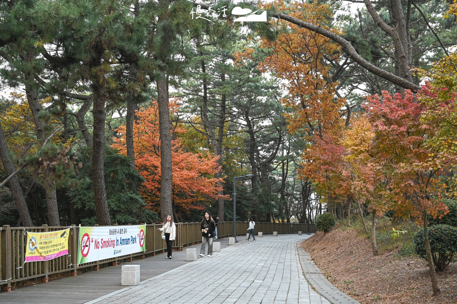 韓國釜山岩南公園