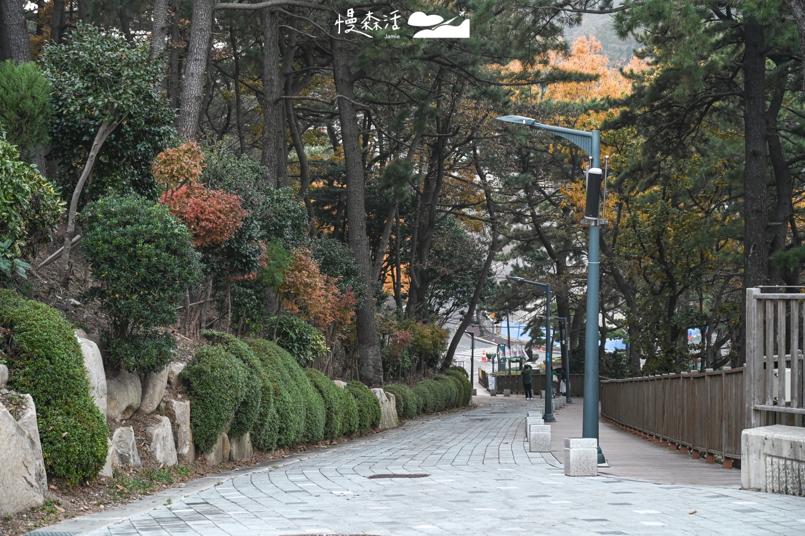 韓國釜山岩南公園