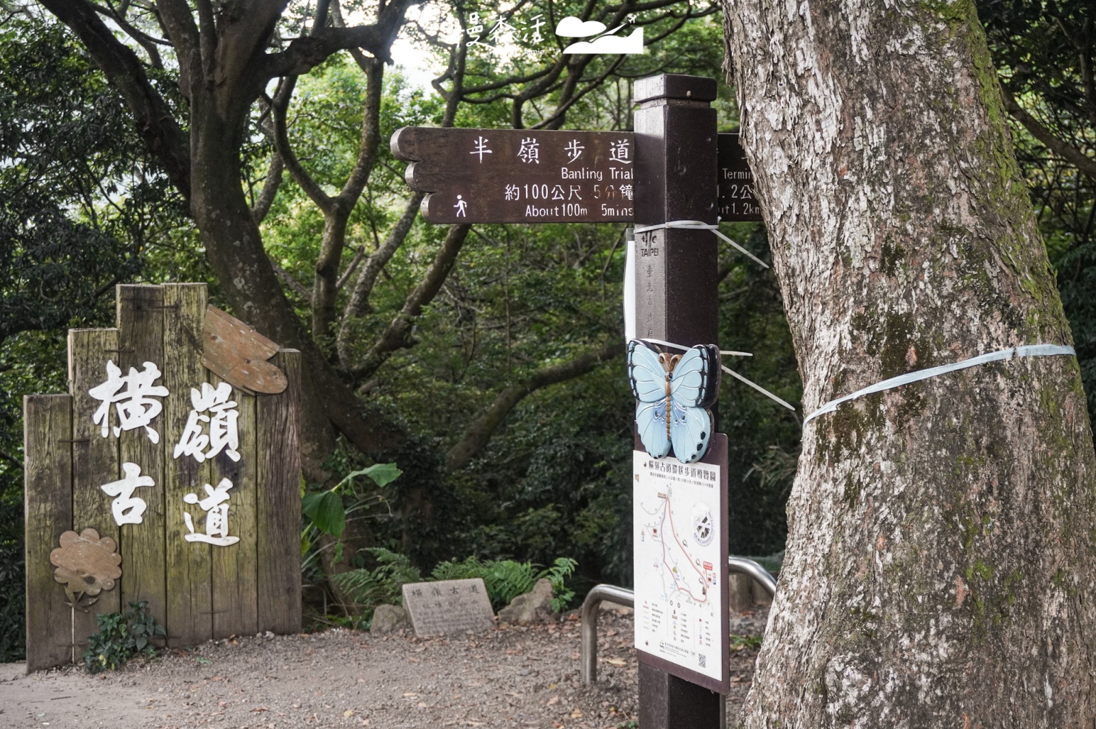 2025元旦健行去 陽明山橫嶺古道