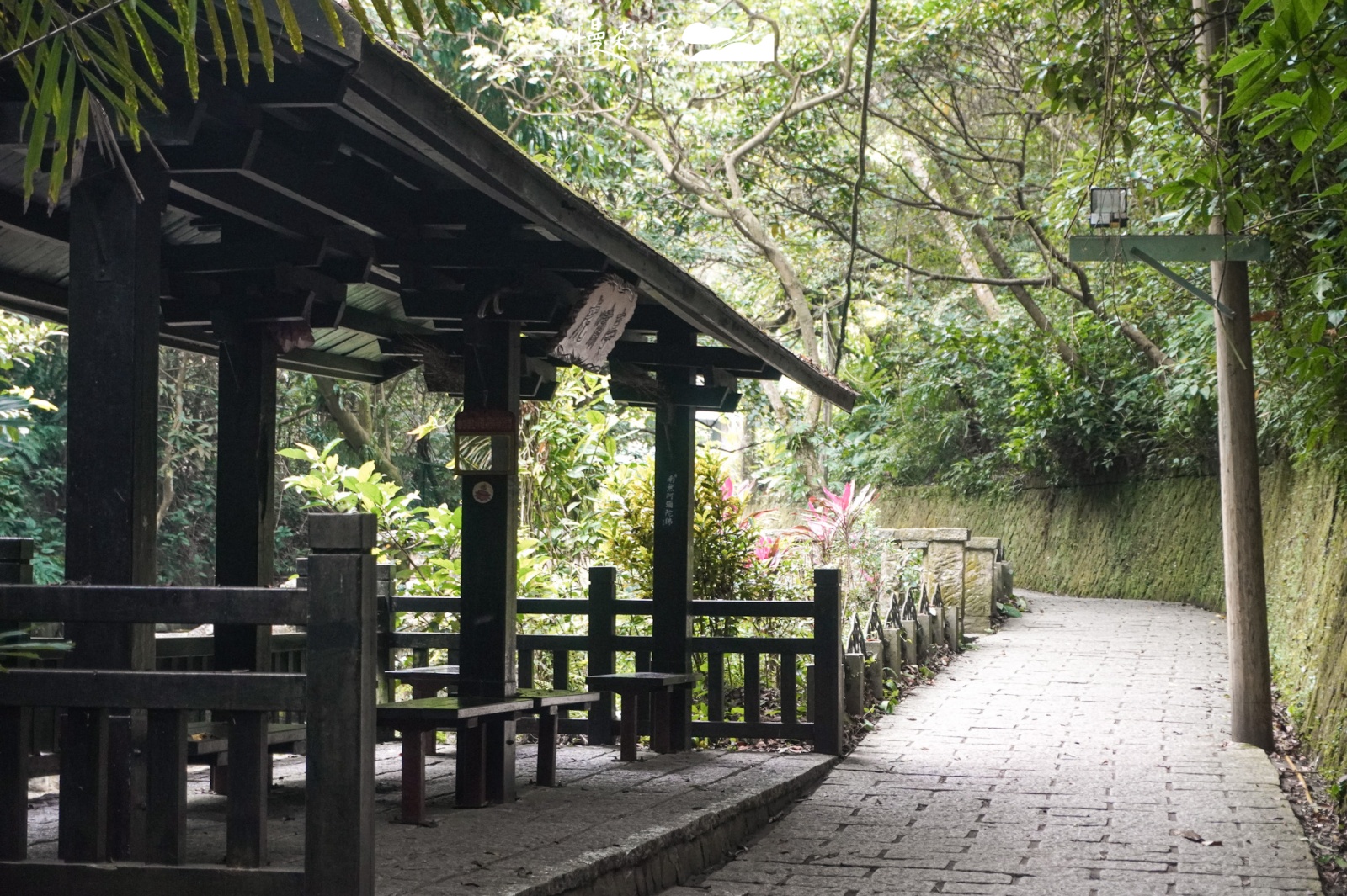 2025元旦健行去 虎山溪步道