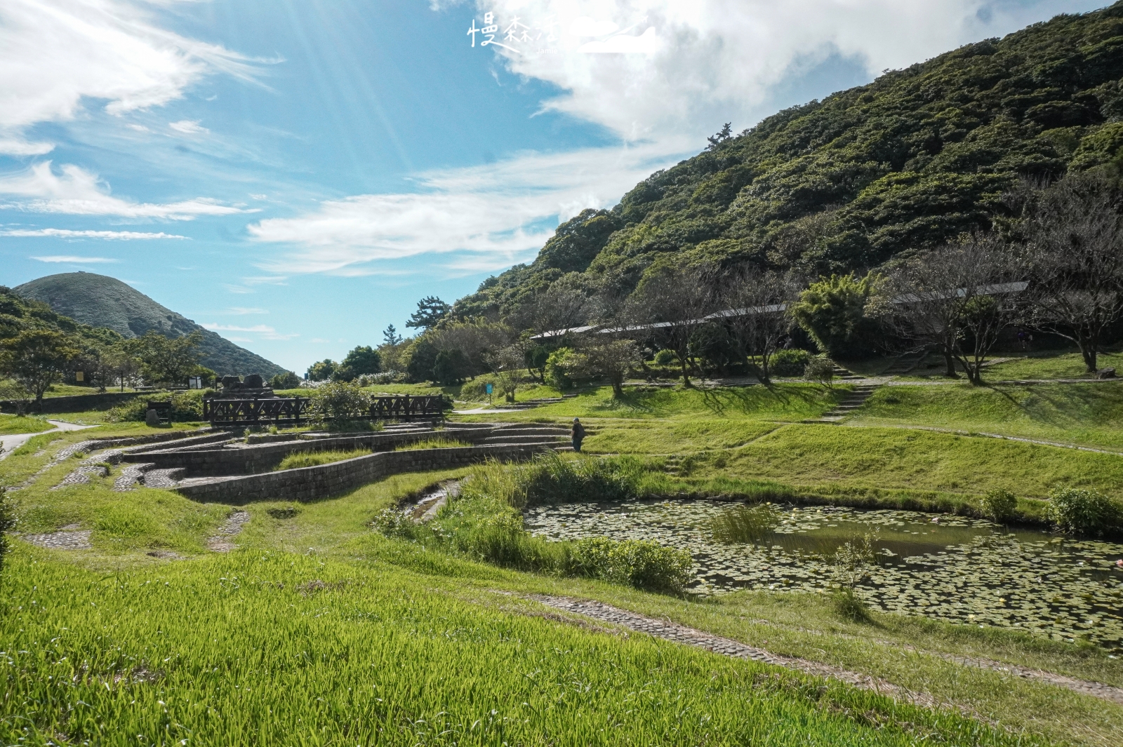 2025元旦健行去 陽明山二子坪步道