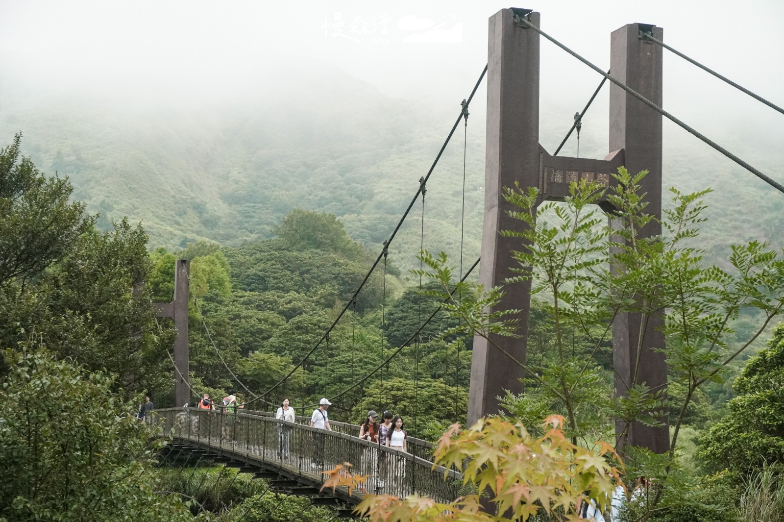 2025踏青台北市士林區 陽明山菁山吊橋