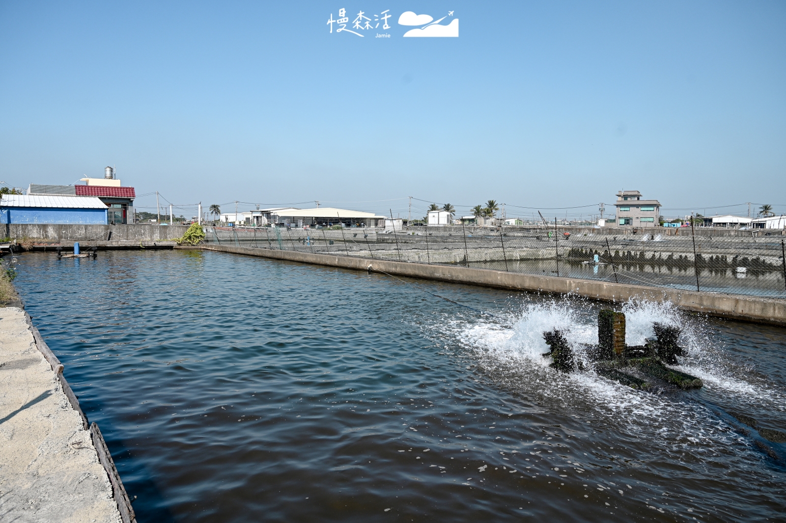 屏東縣枋寮鄉新龍社區 魚塭餵鯖魚體驗