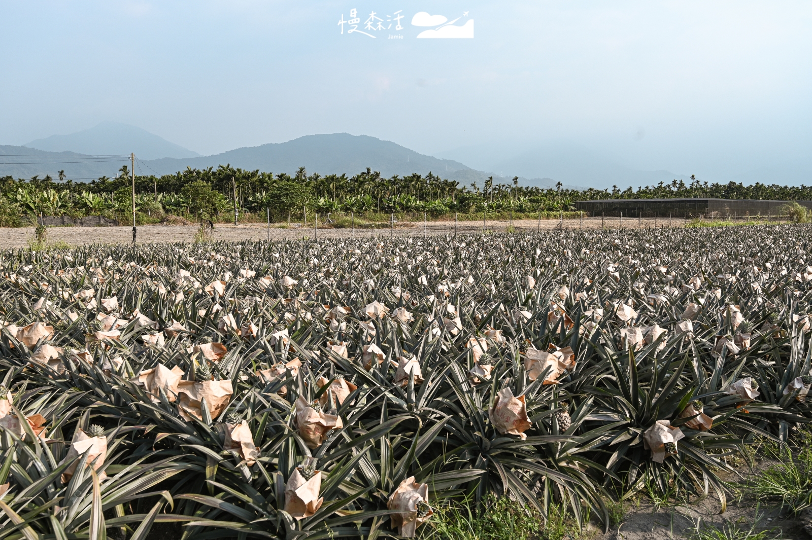 永續旅行屏東「老厝54」走讀赤山社區鳳梨園體驗手作新亮點