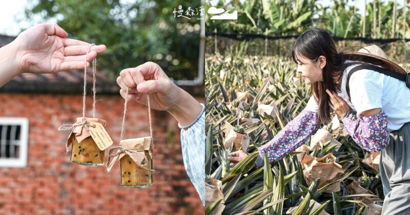 永續旅行屏東「老厝54」走讀赤山社區鳳梨園體驗手作新亮點