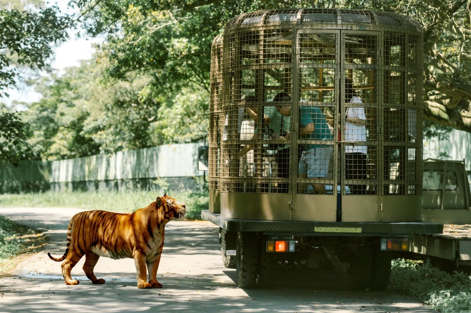 新竹六福村主題遊樂園 動物園區