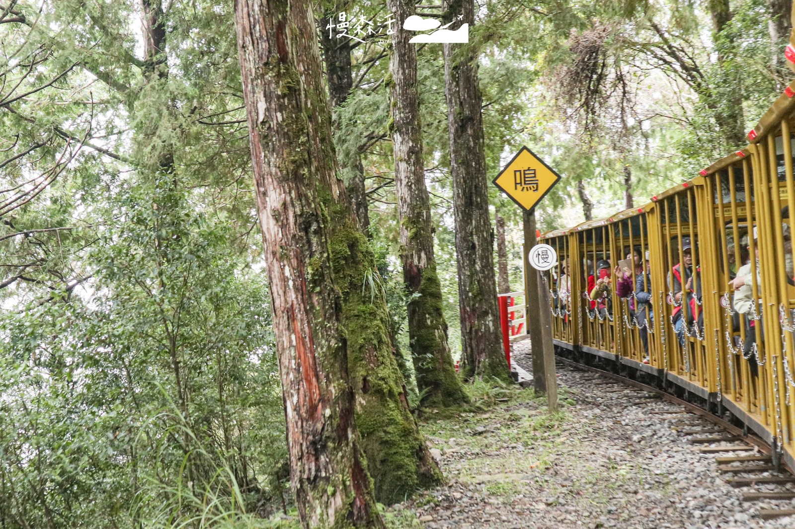 宜蘭太平山國家森林遊樂區 蹦蹦車2025