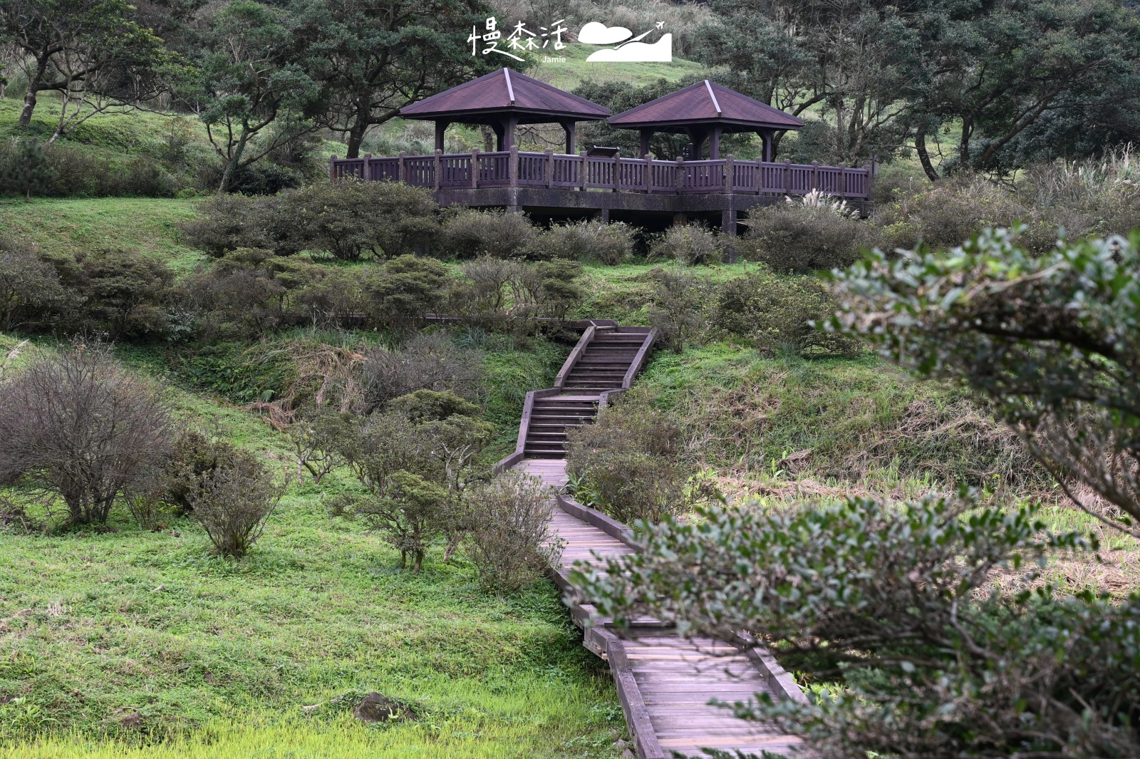 2025過年遊新北市三芝區 大屯自然公園