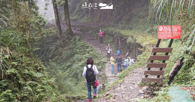 農曆年將近宜蘭「太平山」釋出2025春節旅遊攻略